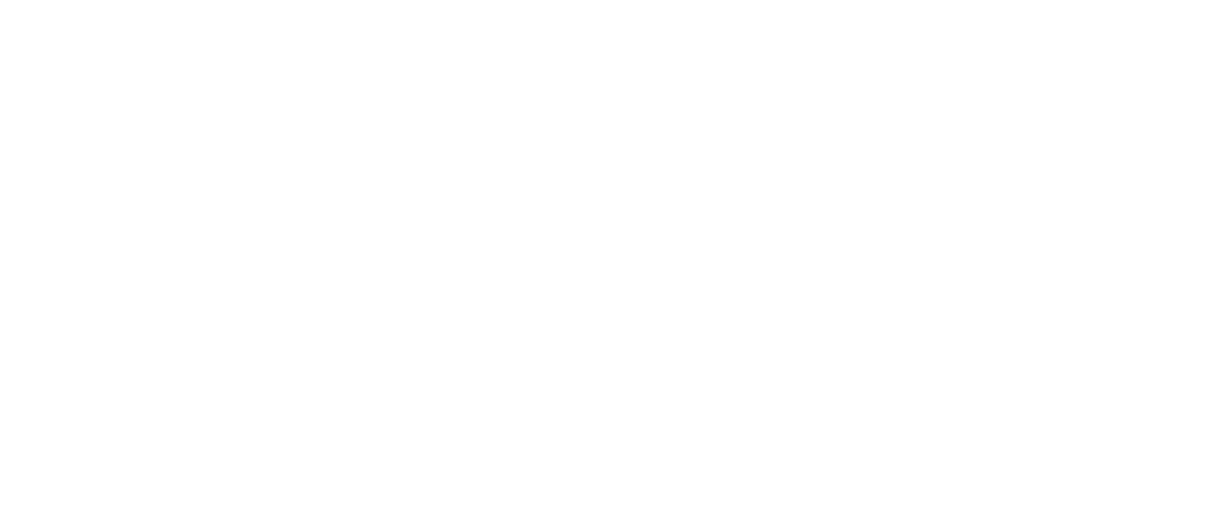 white-logo white-logo
